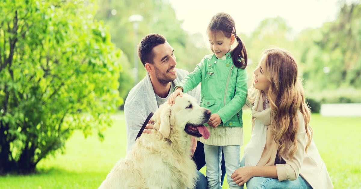 Parenting Skills and Communication: What Divorced Parents Need to Know